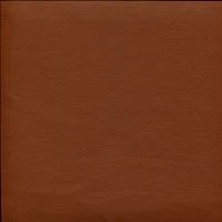 Terra 111