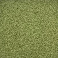 Aurora 11 Green
