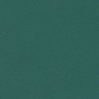 aries509