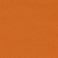 aries529