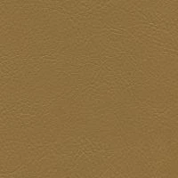 aries559